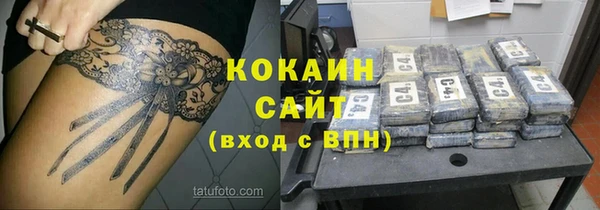 спиды Вяземский