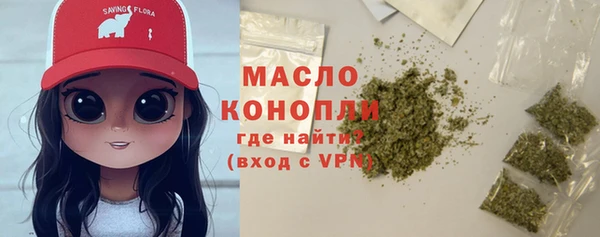 спиды Вяземский