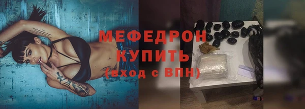 сатива Ростов