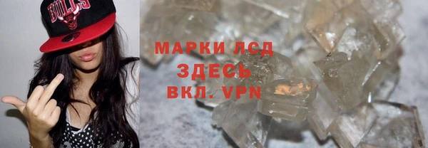 спиды Вяземский