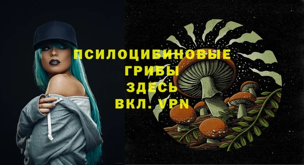 спиды Вяземский