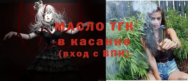 спиды Вяземский