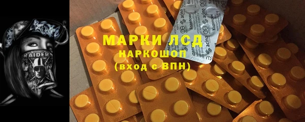 спиды Вяземский