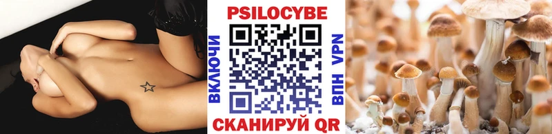 Галлюциногенные грибы мицелий Осинники